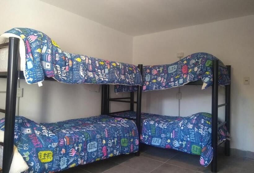 四人标准间, Temiscira Hostel
