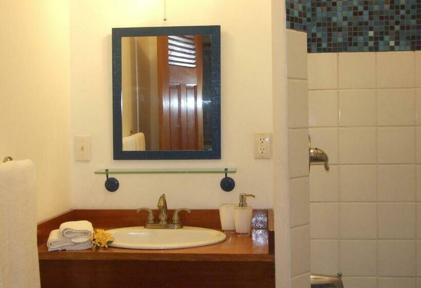 Апартаменты 1 Спальня, Bluebelize B&b