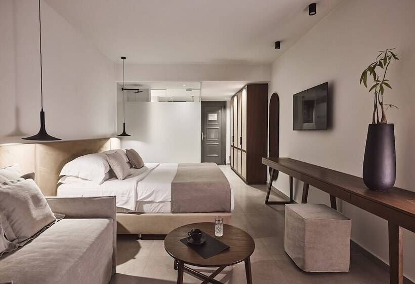 Номер Стандарт Вид на Сад, Michelangelo Resort & Spa