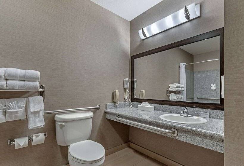 Люкс, Comfort Suites Boise West Meridian