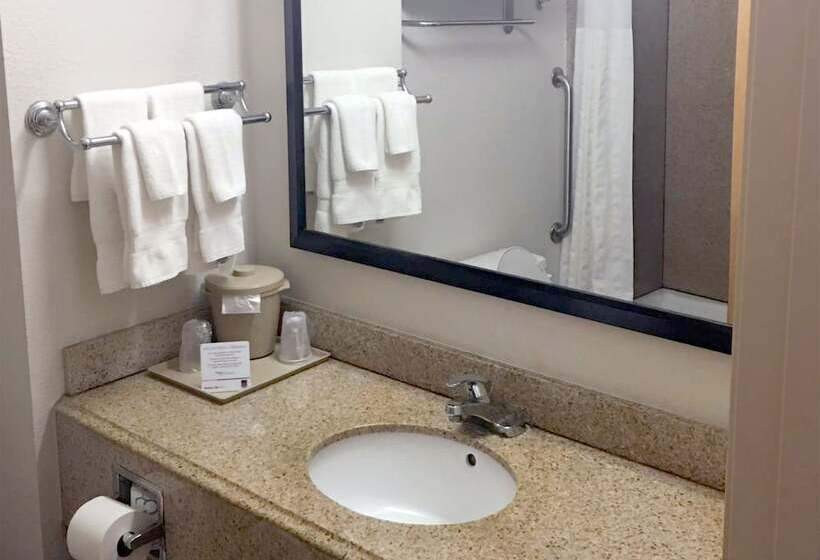 스위트, Comfort Suites San Angelo Near University