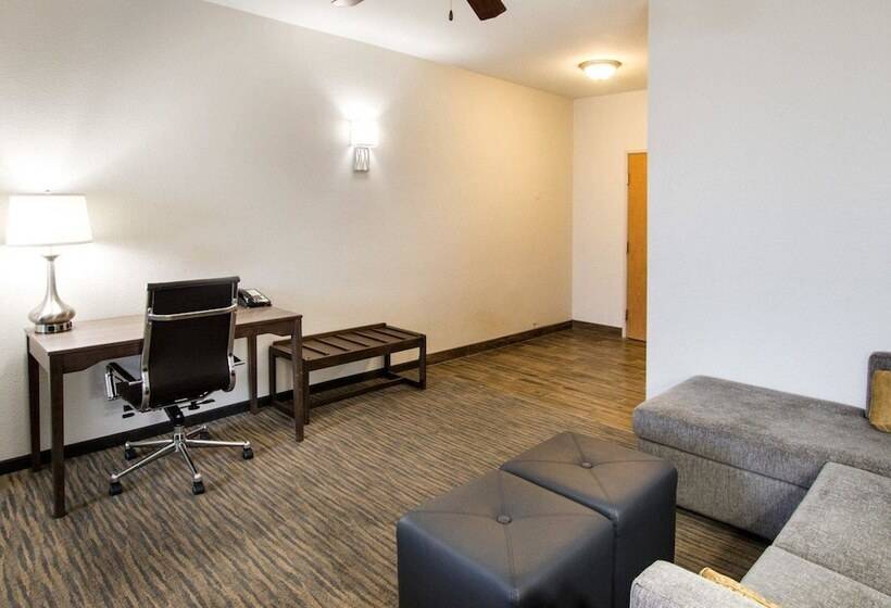 스위트, Comfort Suites San Angelo Near University