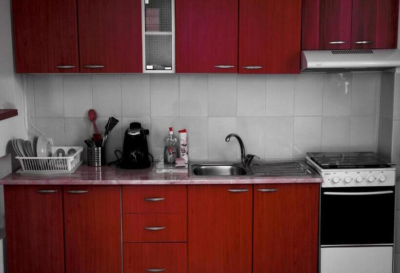 اتاق استاندارد چهارنفره با سرویس بهداشتی مشترک, Z Villa