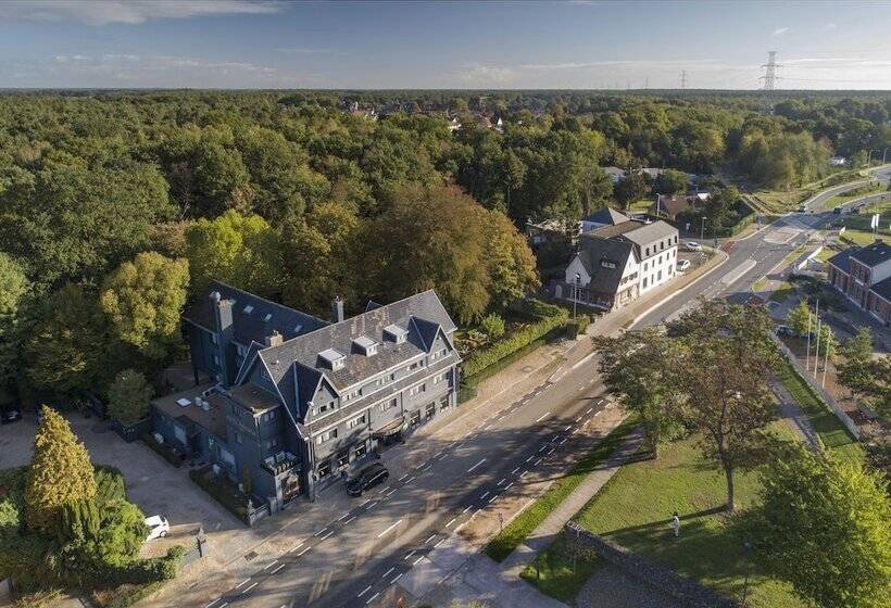 Полулюкс, Mardaga