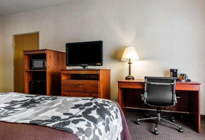 Номер Стандарт 2 Двуспальные Кровати, Sleep Inn & Suites