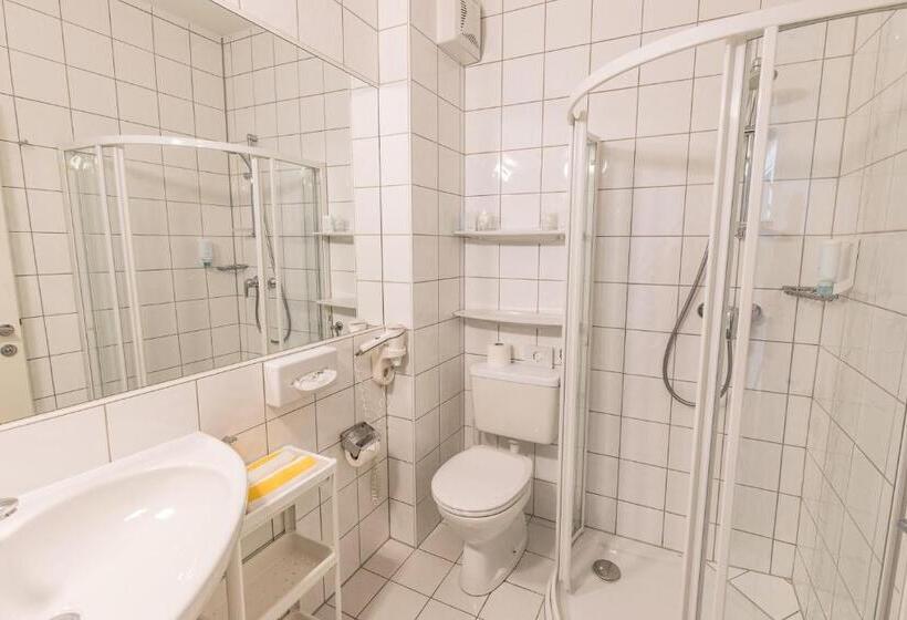 Номер Стандарт Вид на Озеро, Das Moser   Hotel Garni Am See