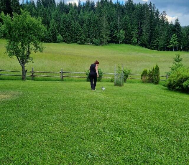 Номер Superior, Boutique Hotel Alpenhof