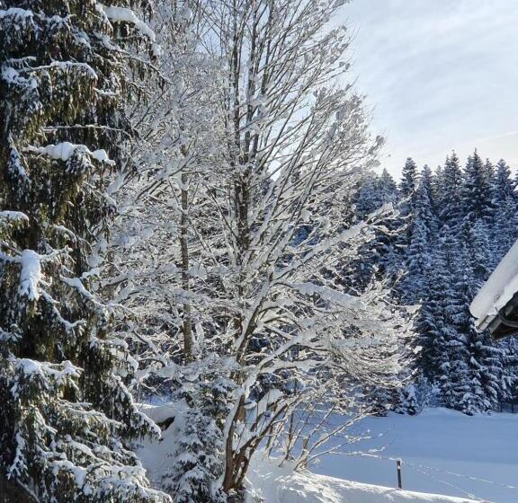 Четырехместный Номер Deluxe, Boutique Hotel Alpenhof