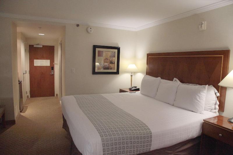 스탠다드 룸 킹사이즈 침대, Executive Suites