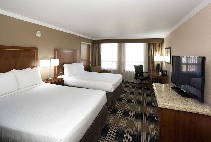 스탠다드 룸 더블 침대 2개, Executive Suites