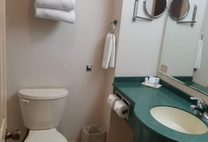 İki Çift Kişilik Yataklı Standart Oda, Holiday Inn Express Chihuahua, An Ihg
