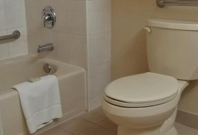 Standart Oda, Holiday Inn Express Chihuahua, An Ihg