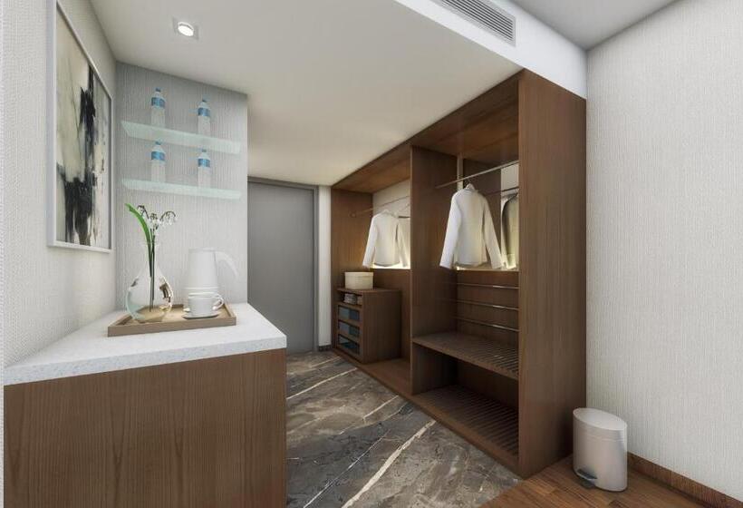 Полулюкс, Radisson Hotel Bareilly Airport