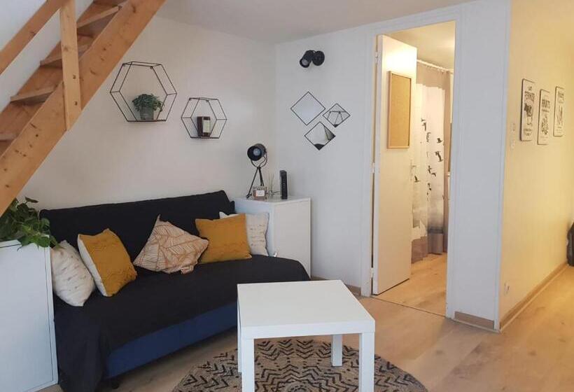 Апартаменты 1 Спальня, Duplex à La Gare Du Mans