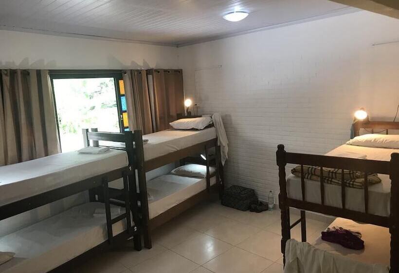 سرير فى غرفة مشتركه, Biergarten Hostel