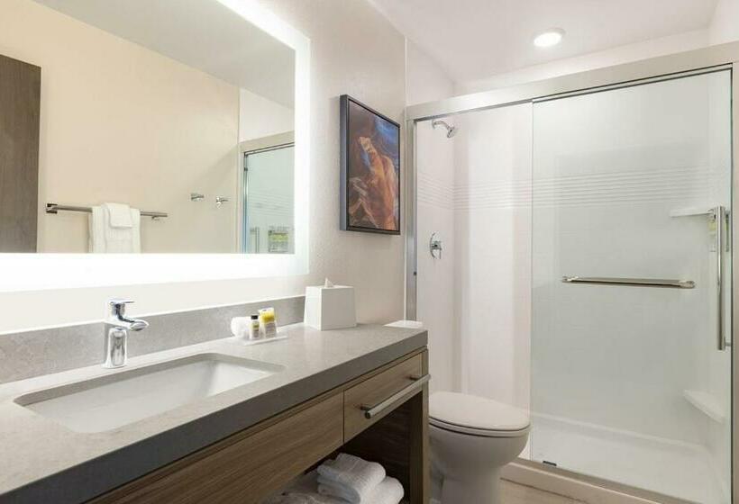 带大床的标准工作室, Candlewood Suites   Lexington   Medical District, An Ihg