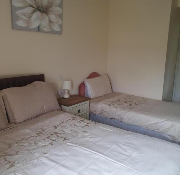 标准间, Willards B&b