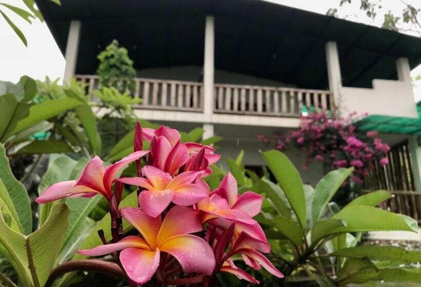 패밀리 룸, Quinta El Mamey