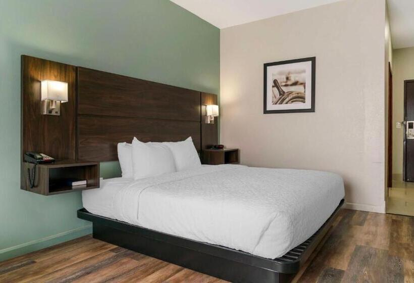 适合残疾人士使用的带超级大床的标准间, Best Western Clare