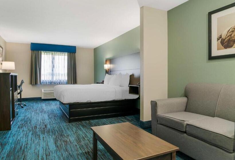 带大床的标准间, Best Western Clare