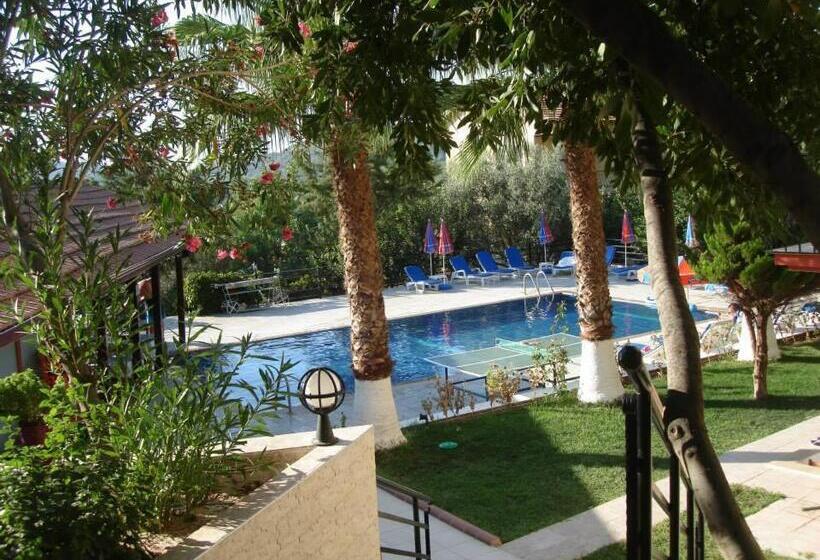 آپارتمان 1 خوابه, Eftelya Apart