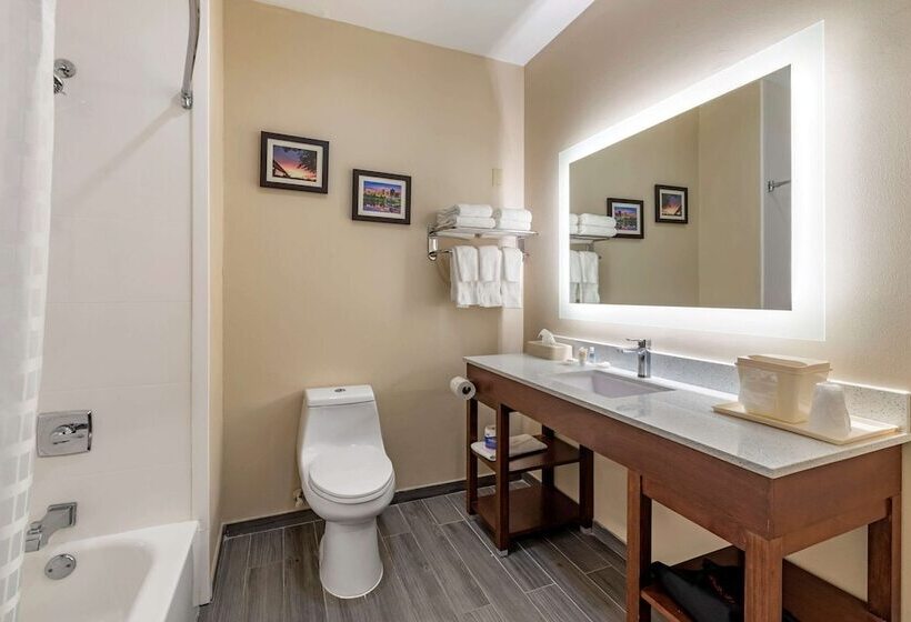 Люкс, Comfort Suites West Memphis I40 I55