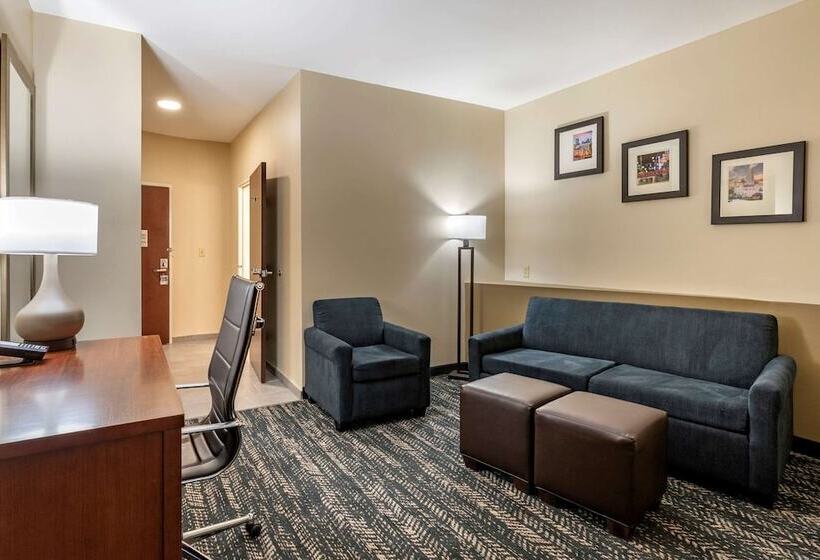 Люкс Адаптированный для Инвалидов, Comfort Suites West Memphis I40 I55