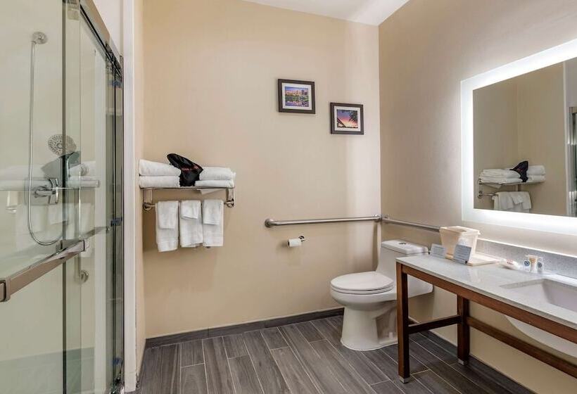 Люкс Адаптированный для Инвалидов, Comfort Suites West Memphis I40 I55