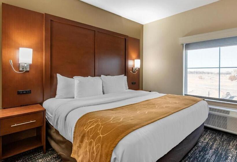 Люкс Кровать Кинг, Comfort Suites West Memphis I40 I55