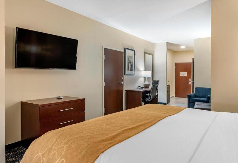 Люкс Кровать Кинг, Comfort Suites West Memphis I40 I55