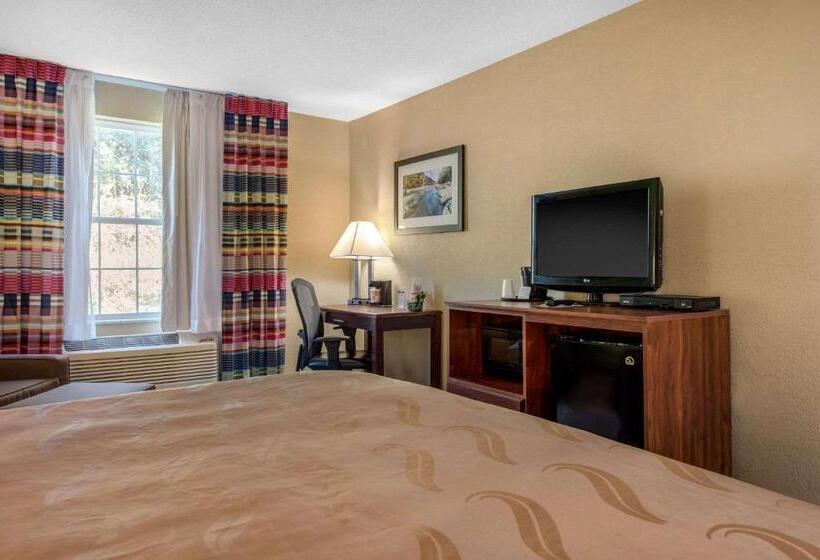 غرفة قياسية سرير كينج, Quality Inn
