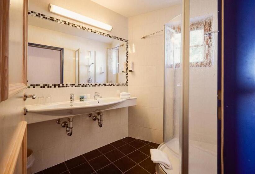 חדר סטנדרט יחיד, Enzian By Alpeffect Hotels