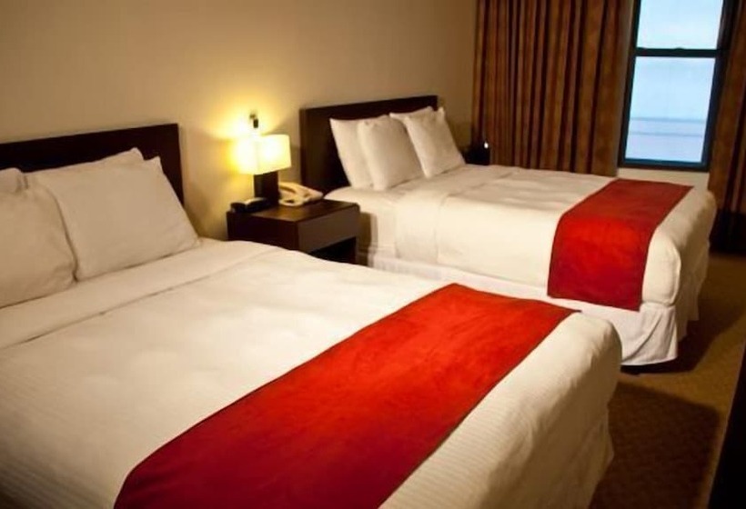 اتاق استاندارد با 2 تخت دوبل, The Hotel 91