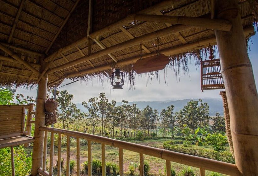 Шале 1 Спальня, Phoomtada Homestay