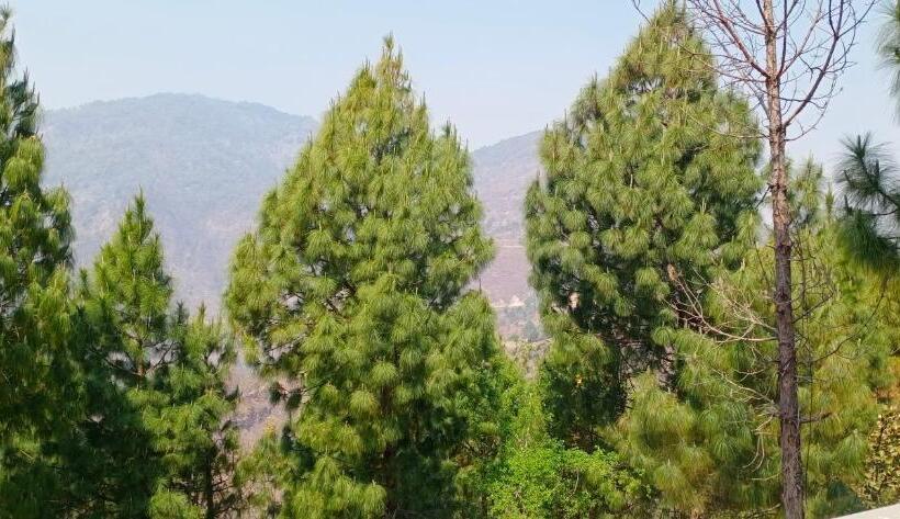 شقة ديلوكس غرفة نوم واحدة, Blue Pine Orchards   Villas