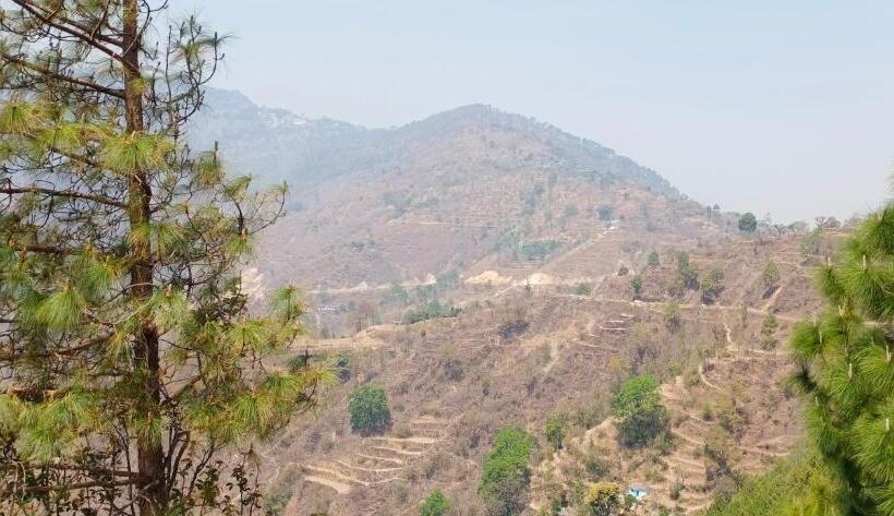 침실 1개 복층 룸, Blue Pine Orchards   Villas