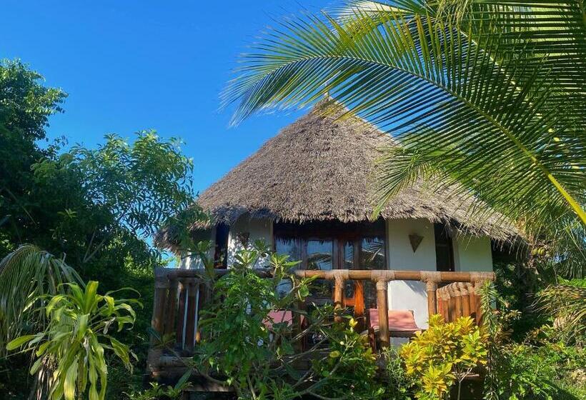 اتاق لوکس با بالکن, Lala Land Lodge