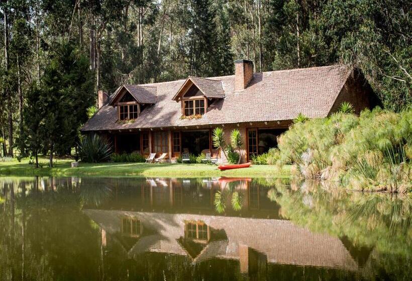 Вилла Superior 1 Спальня, Palumbo Glamping & Villas