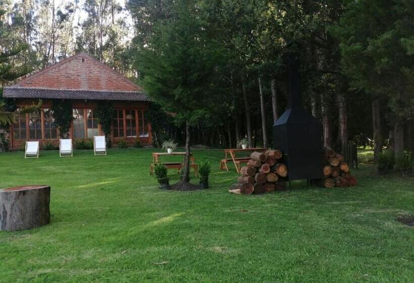 Вилла 3 Спальни, Palumbo Glamping & Villas