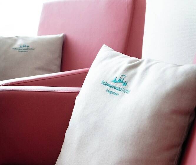 컴포트 룸, Schwarzwaldhotel Gengenbach