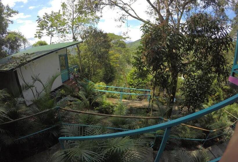Номер Стандарт Вид на Горы, Waterfall El Paraíso   Cabañas, Jacuzzi, Piscina Y Cascada En Medio De La Naturaleza