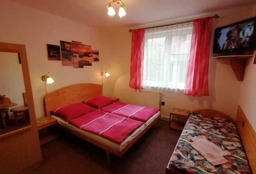 Номер Стандарт, Penzión Poľana