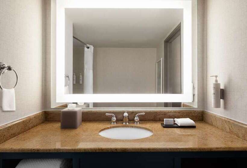 스위트 킹사이즈 침대, Embassy Suites By Hilton St. Louis St. Charles