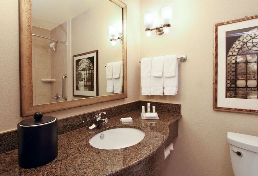 스탠다드 룸, Hilton Garden Inn Beaumont, Tx