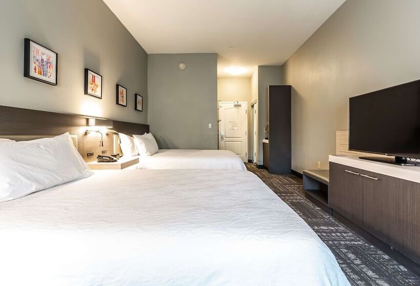 장애인을 위한 스탠다드 룸, Hilton Garden Inn Beaumont, Tx