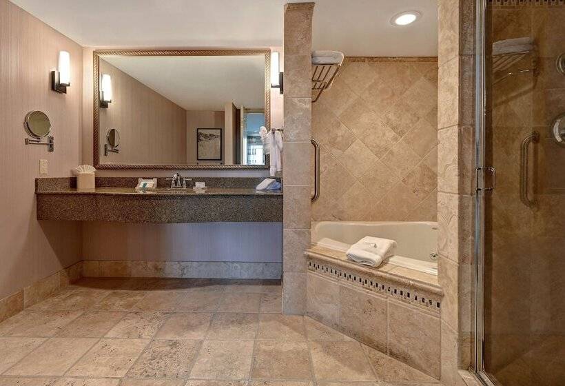 Люкс, Hilton Garden Inn Boise/eagle