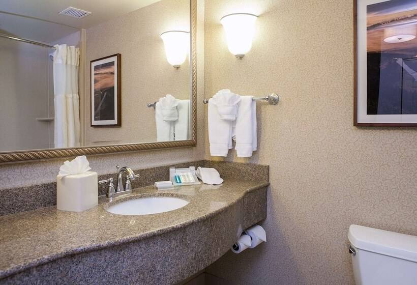 Полулюкс, Hilton Garden Inn Boise/eagle