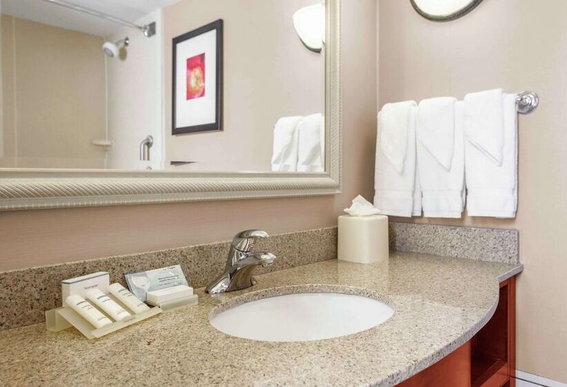 Номер Стандарт 2 Двуспальные Кровати, Hilton Garden Inn Independence