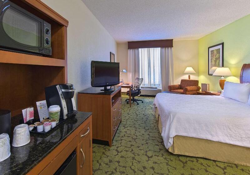 キングサイズベッドのスタンダードルーム, Hilton Garden Inn Tallahassee Central