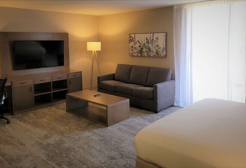 اتاق استاندارد با تخت دوبل, Riverside Hotel, Bw Premier Collection